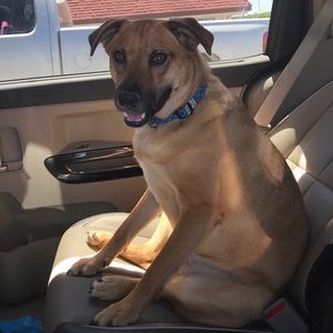 Meet your Posher, Jana